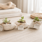 Petite Shell Garden Green - Made From the Heart Co