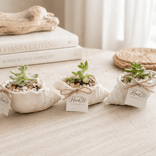 Petite Shell Garden Green - Made From the Heart Co