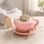 Pink Tea Cup Petite Garden - Made From the Heart Co