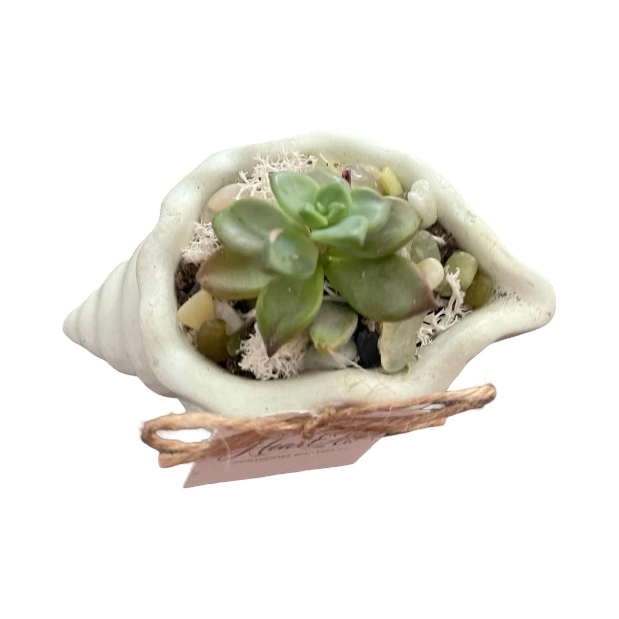 Petite Shell Garden Green - Made From the Heart Co