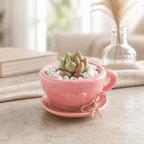 Pink Tea Cup Petite Garden - Made From the Heart Co