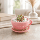Pink Tea Cup Petite Garden - Made From the Heart Co