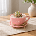 Pink Tea Cup Petite Garden - Made From the Heart Co