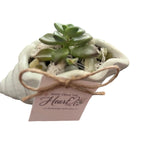 Petite Shell Garden Green - Made From the Heart Co