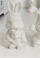 Ceramic Bunny Painting Kit – Pick Your Friend, Kids Craft Activity - Made From the Heart Co
