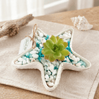 Petite Shell Garden Star - Made From the Heart Co