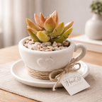 Natural Tea Cup Petite Garden - Made From the Heart Co