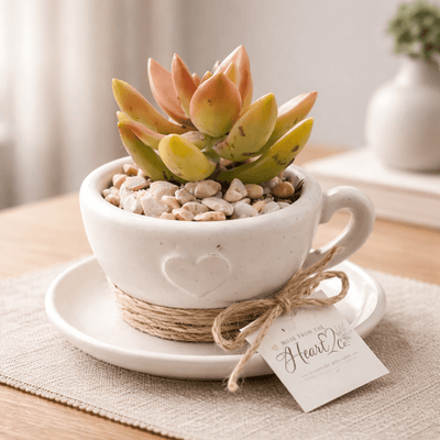Natural Tea Cup Petite Garden - Made From the Heart Co