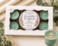 Eucalyptus Grove tea light refills